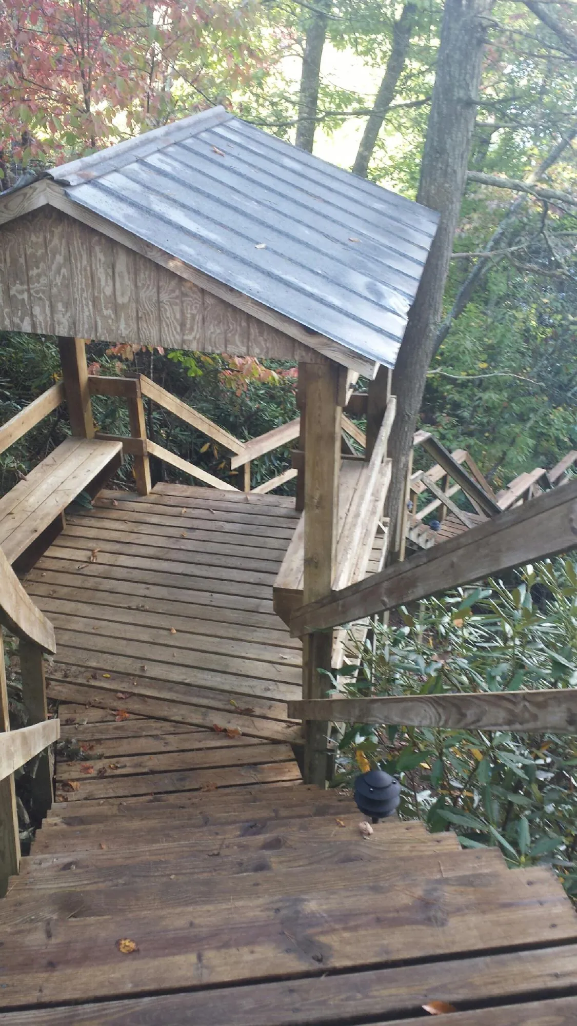 Metal roofed shelter over wooden steps on a wooded walkway — Skylight Repair & Installation work by our crew in Loma Linda
